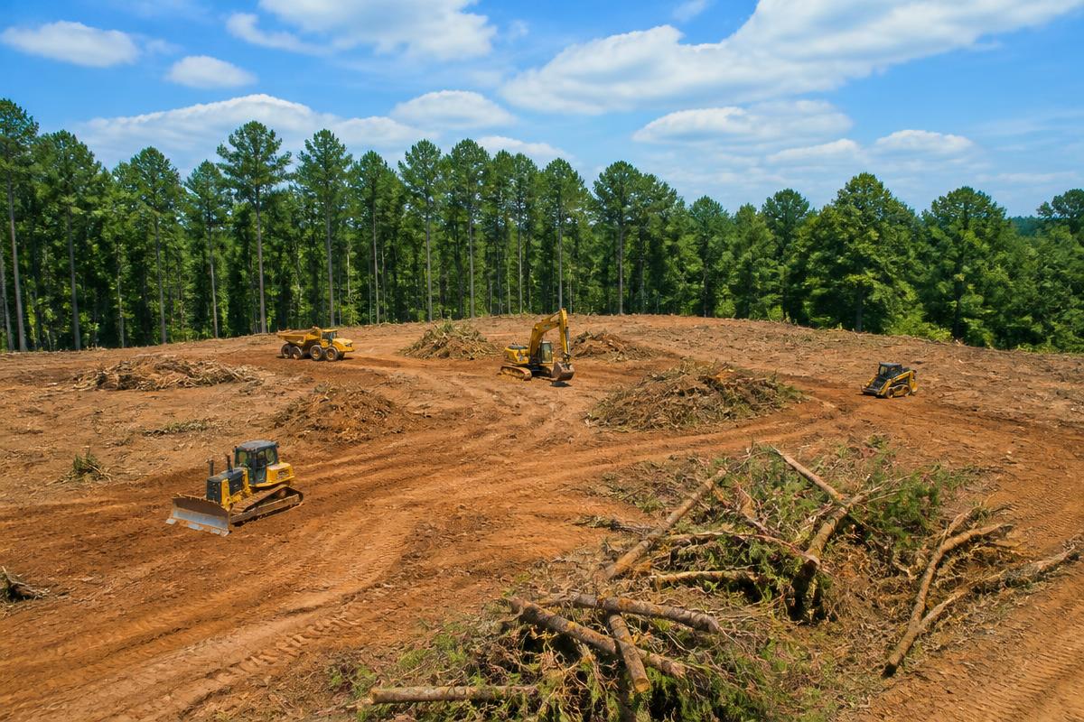 Commercial Site Clearing